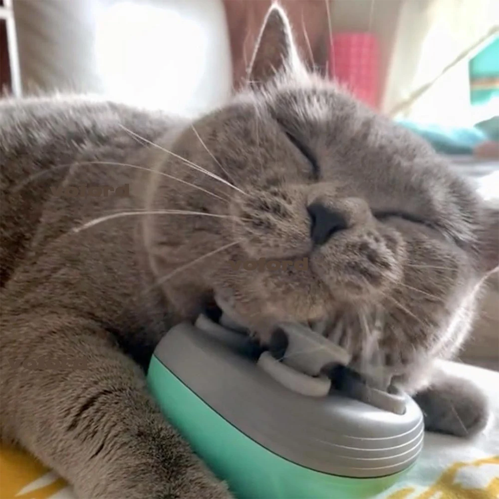 Power Tools Cat - Electric Cat Massager Head Back Scratcher