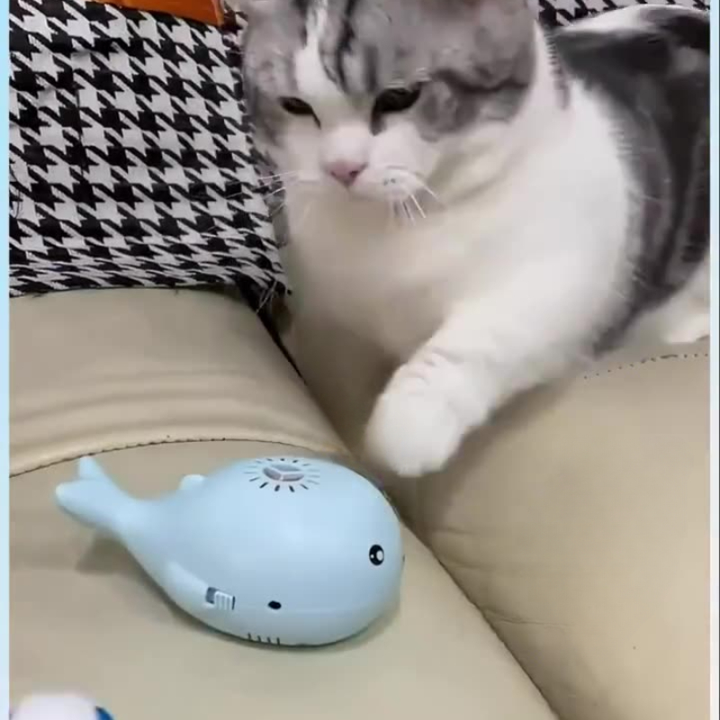 Cat Electric Toy Portable Floa - đánh giá và giá Power Tools Cat
