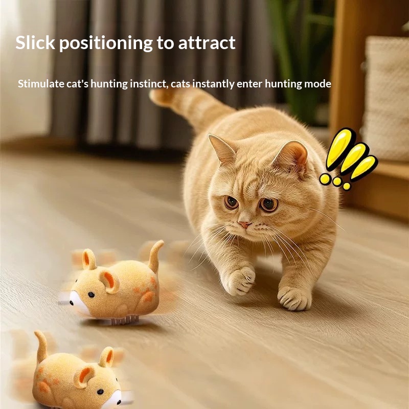 Cat toy electric hamster pet t - đánh giá và giá Power Tools Cat