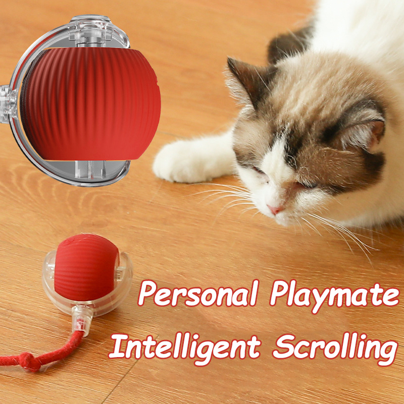 New Cat Interactive Ball Toy A - đánh giá và giá Power Tools Cat
