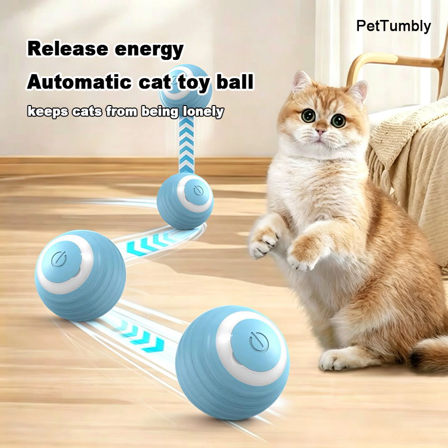 Cat Interactive Ball Electric  - đánh giá và giá Power Tools Cat