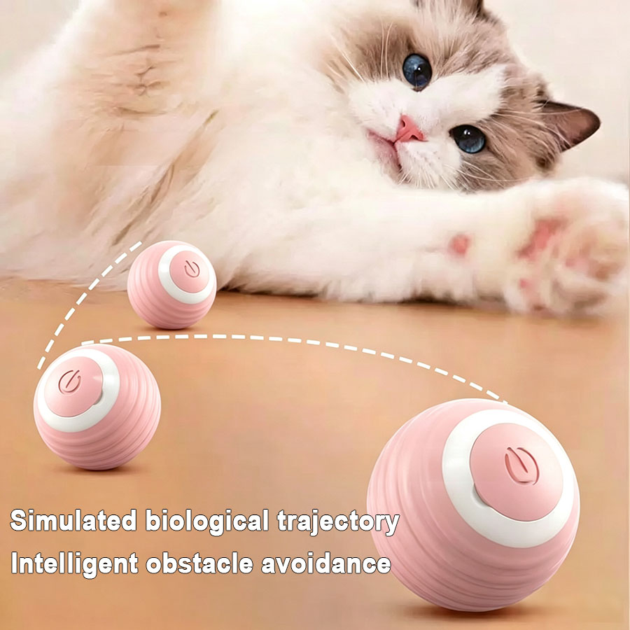 Cat Interactive Ball Electric  - đánh giá và giá Power Tools Cat
